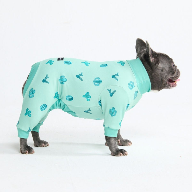 Hondenpyjama - Cactus