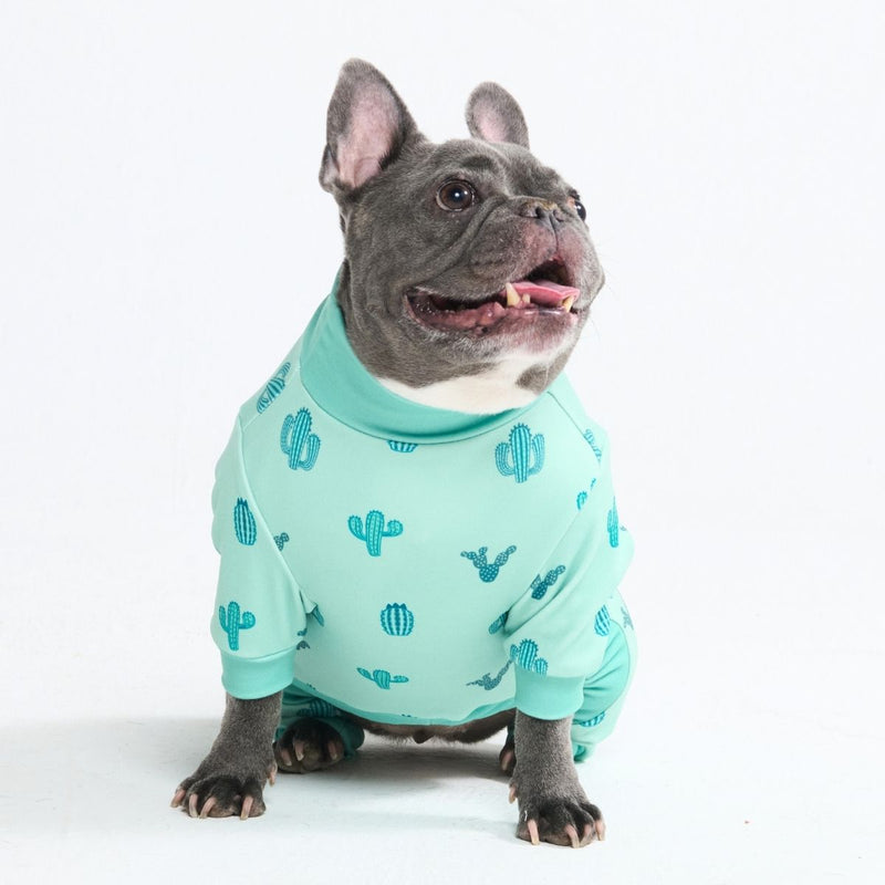 Hondenpyjama - Cactus