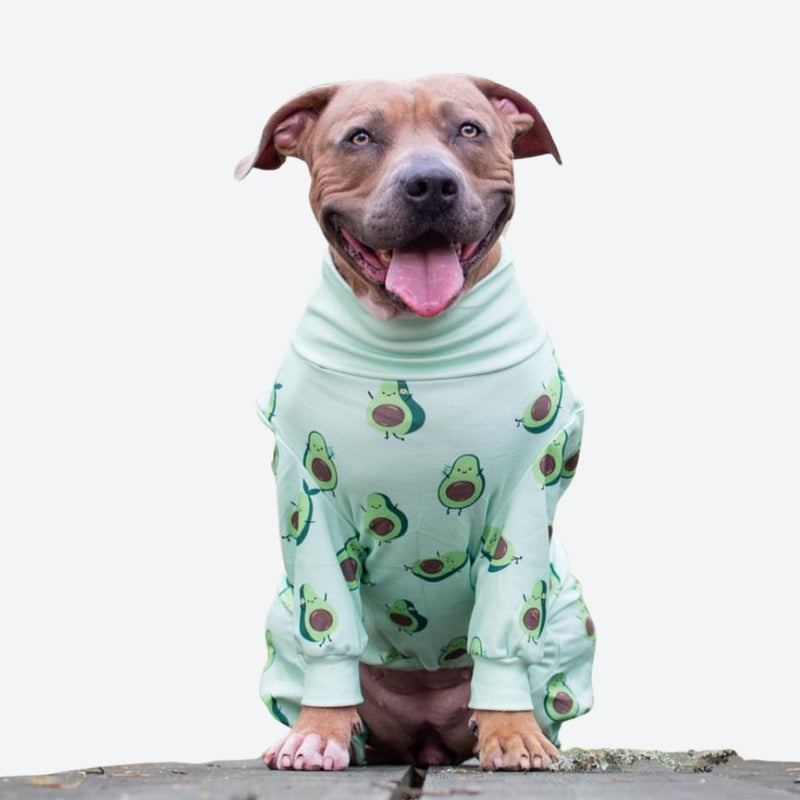 Hondenpyjama - Avocado