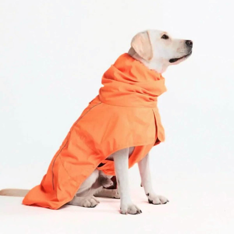 Dog Raincoat - Orange