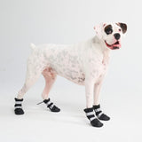 size:D) Width: 2.6"/6.5cm for 52-70lbs/24-32kg