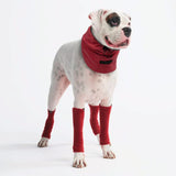 Rekbare fleece hondenbeenwarmers - Rood