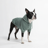 Essentiële hondenhoodie - Wintertaling