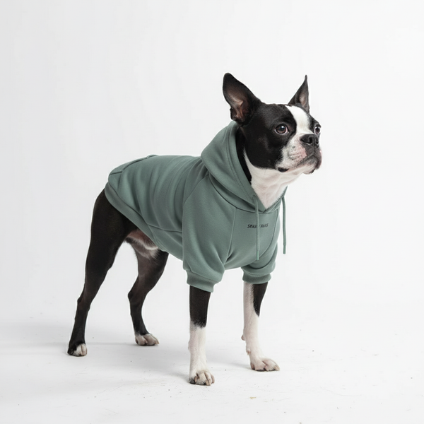 Essentiële hondenhoodie - Wintertaling