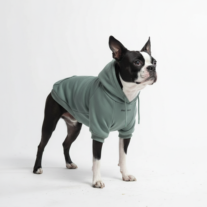 Essentiële hondenhoodie - Wintertaling