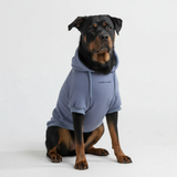 Essentiële hondenhoodie - Leiblauw