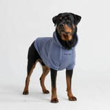 Essentiële hondenhoodie - Leiblauw