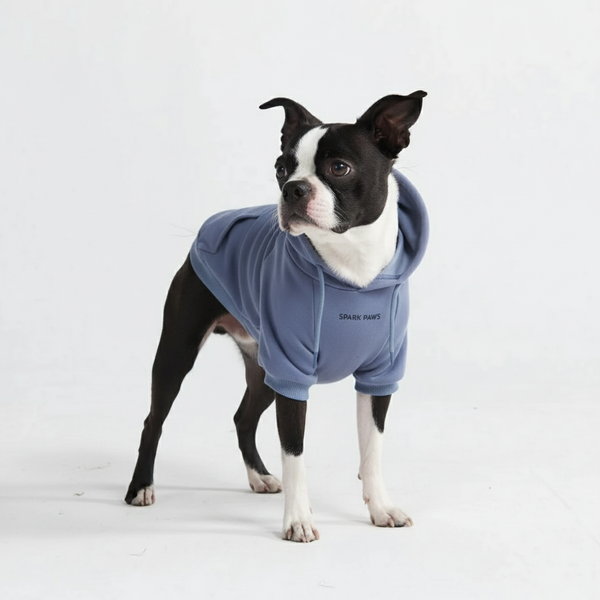 Essentiële hondenhoodie - Leiblauw