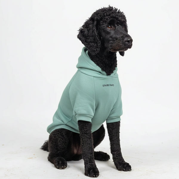 Essentiële hondenhoodie - Wintertaling