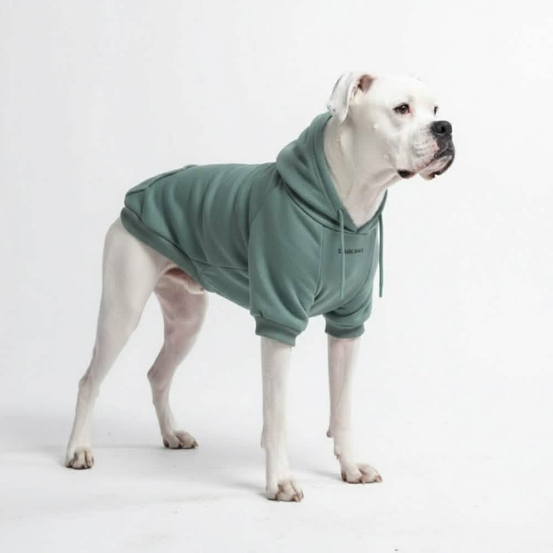 Essentiële hondenhoodie - Wintertaling