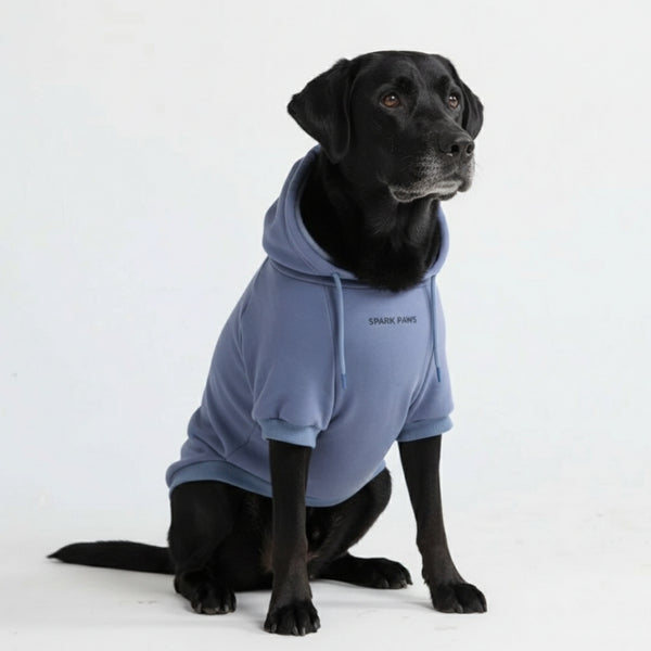 Essentiële hondenhoodie - Leiblauw