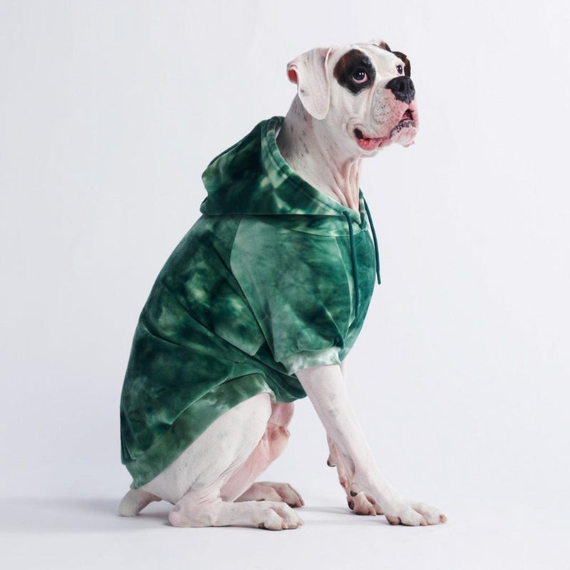 Fluwelen hondenhoodie - Smaragdgroen