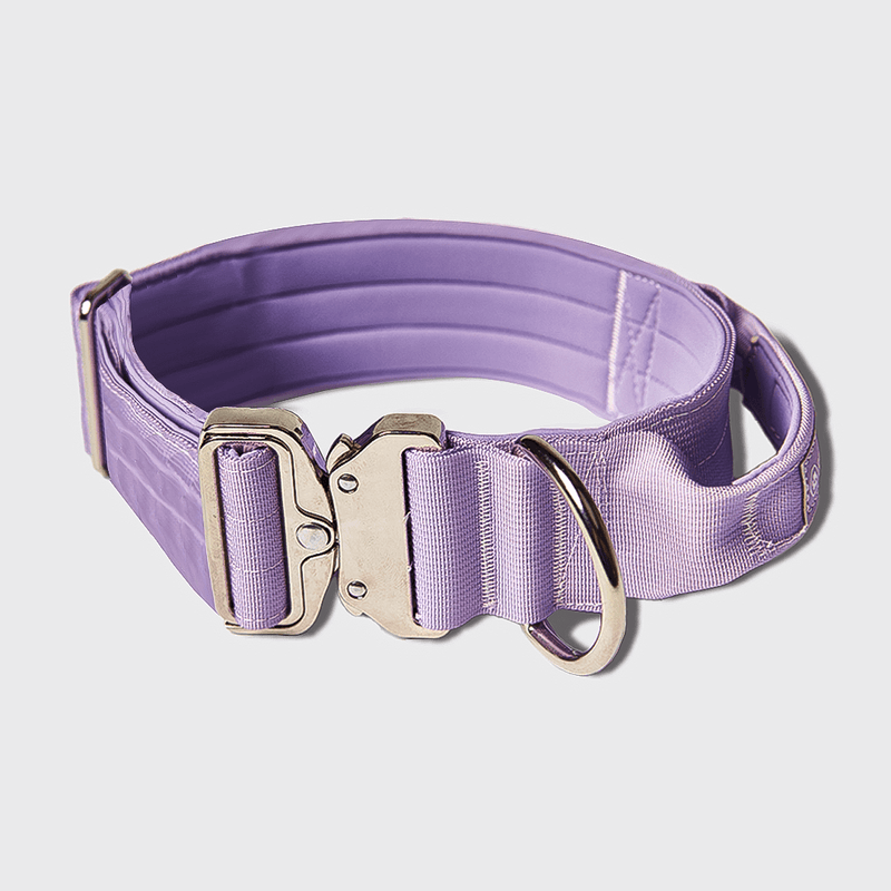 Tactische halsband - Lila