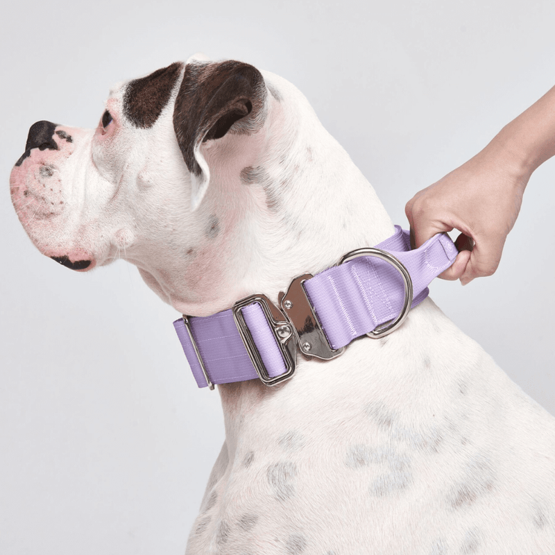 Tactische halsband - Lila