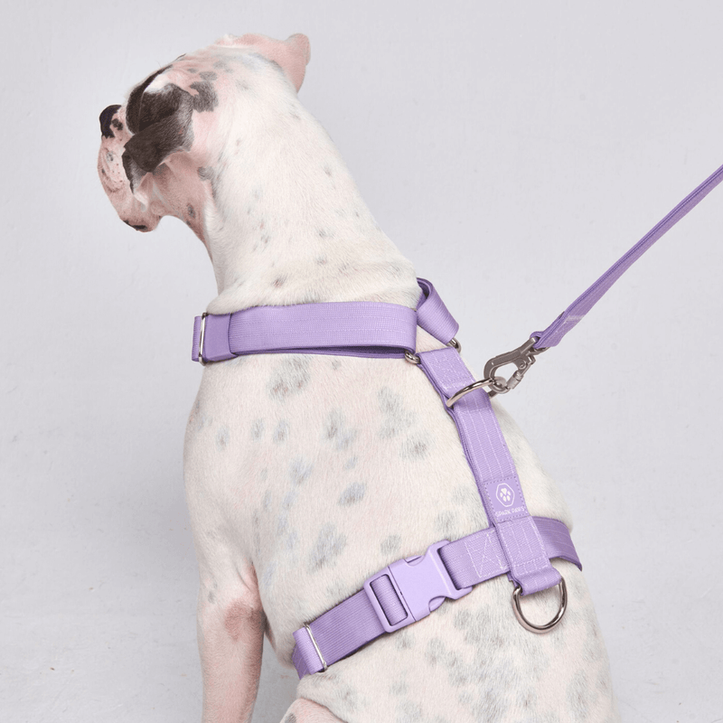 Comfort Control hondenharnasset zonder trekkracht - Lila