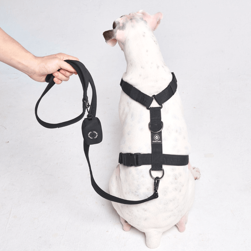 Comfort Control hondenharnasset zonder trekkracht - Zwart