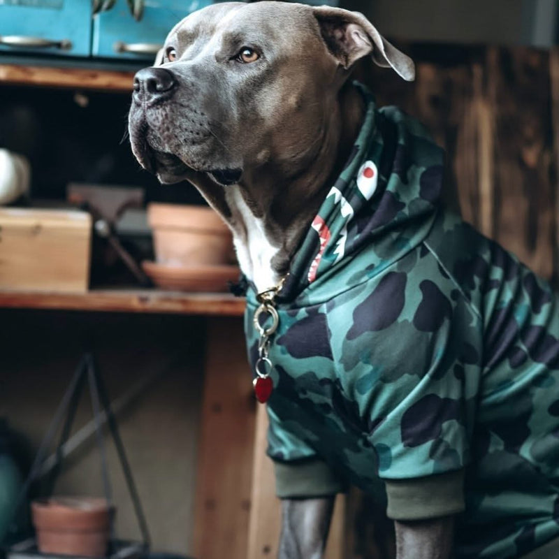 Haai Monster Hond Hoodie - Groene camouflage
