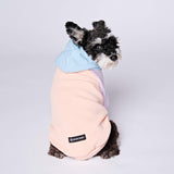 Suikerspin hond hoodie