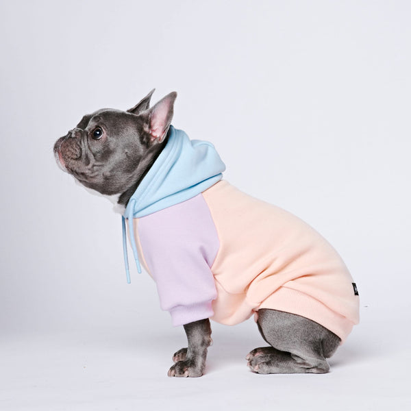 Cotton Candy Dog Hoodie