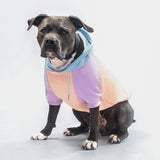 Suikerspin hond hoodie