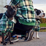 Groene geruite menselijke hoodie