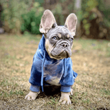 Fluwelen hondenhoodie - Saffierblauw