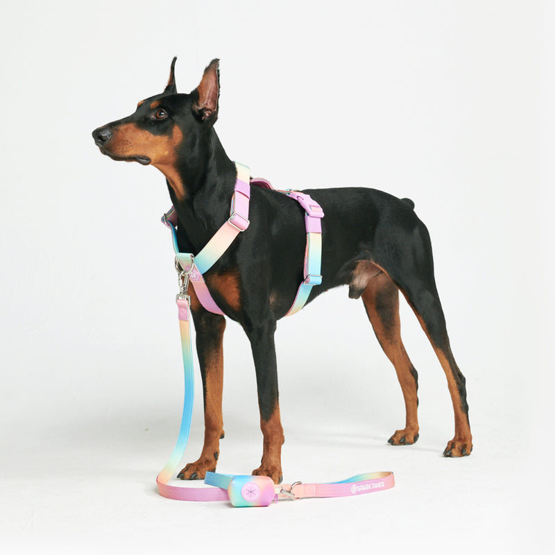 Comfort Control hondenharnasset zonder trekkracht - Pastelkleurig glazuur