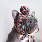 Gebreide Pom Pom hond muts - Caleidoscoop